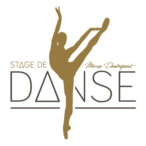 Stage de Danse logo